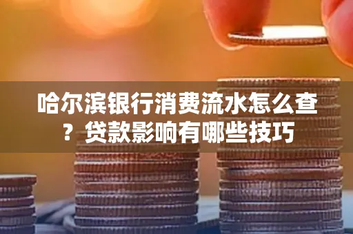 哈尔滨银行消费流水怎么查？贷款影响有哪些技巧